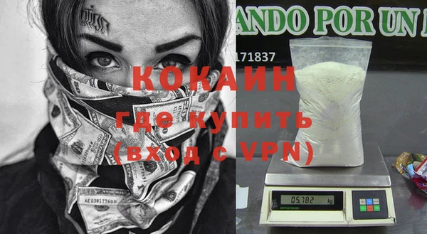 шишки Абинск